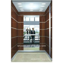 630kg SANYO Mirror Etching Elevator